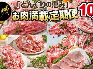 「どんぐりの恵み豚」お肉満載定期便(10ヶ月)