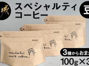 スペシャルティコーヒー(豆)100g×3袋セット