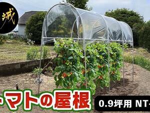 トマトの屋根【0.9坪用】〈NT-27〉