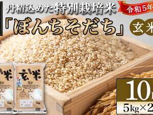 【玄米】特別栽培米ぼんちそだち10kg