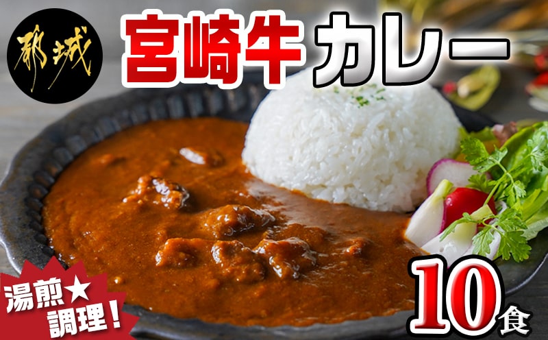 宮崎牛カレー10食セット