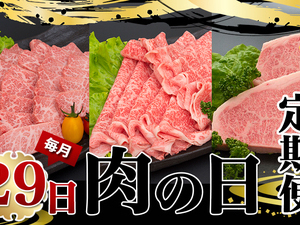 日本一の宮崎牛定期便【毎月29日は都城のお肉でお肉時間】