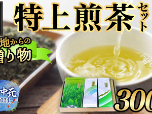 【お中元】盆地からの贈り物 特上煎茶セット
