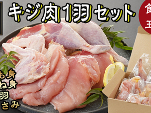 【たしろ屋】都城産キジ肉1羽セット
