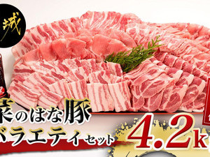 「菜のはな豚」バラエティ4.2kgセット