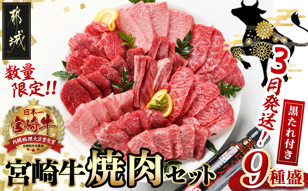【数量限定☆2024年3月発送】宮崎牛9種盛り焼肉セット