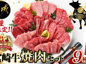 【数量限定】宮崎牛9種盛り焼肉セット