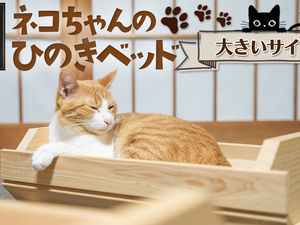 ネコちゃんの☆ひのきベッド☆大サイズ