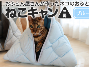 【ブルー】【ねこキャン・三角タイプ】おふとん屋さんが作ったネコのふとん