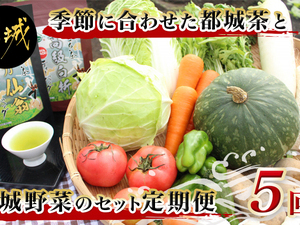 季節に合わせた都城茶と都城野菜のセット定期便(5回)