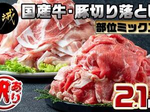 【訳あり】国産牛・豚切り落とし 部位ミックス2.1kg