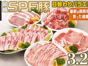 「宮崎SPF豚 」日替わりバラエティ3.2kgセット