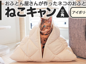 【アイボリー】【ねこキャン・三角タイプ】おふとん屋さんが作ったネコのふとん