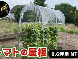 トマトの屋根【0.6坪用】〈NT-18〉