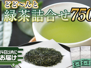 どどーんと緑茶詰合せセット 750g(250g×3袋)≪みやこんじょ快速便≫